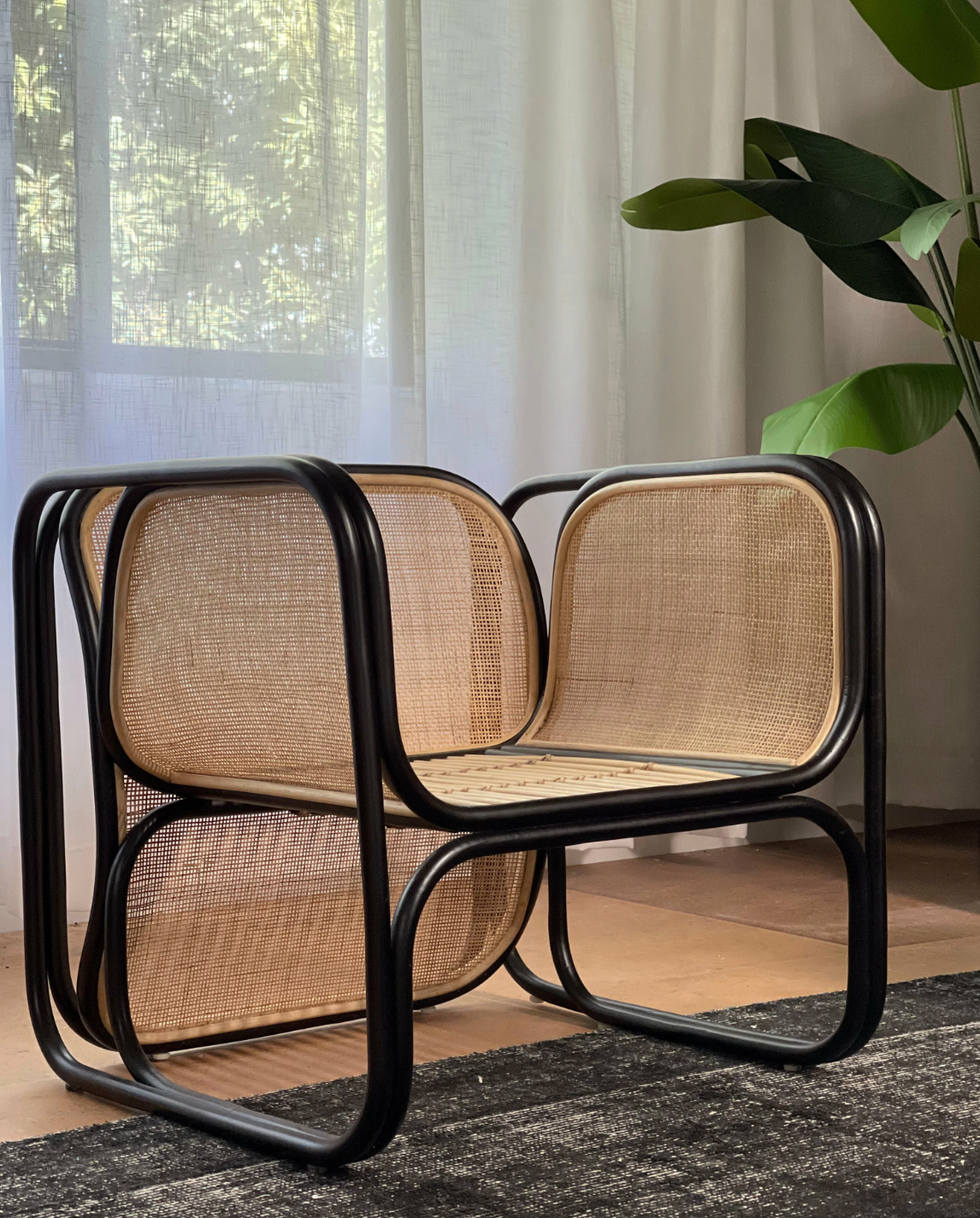Sybella | Occasional Chair Rattan